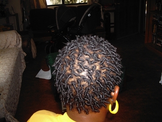 Comb Coils I did